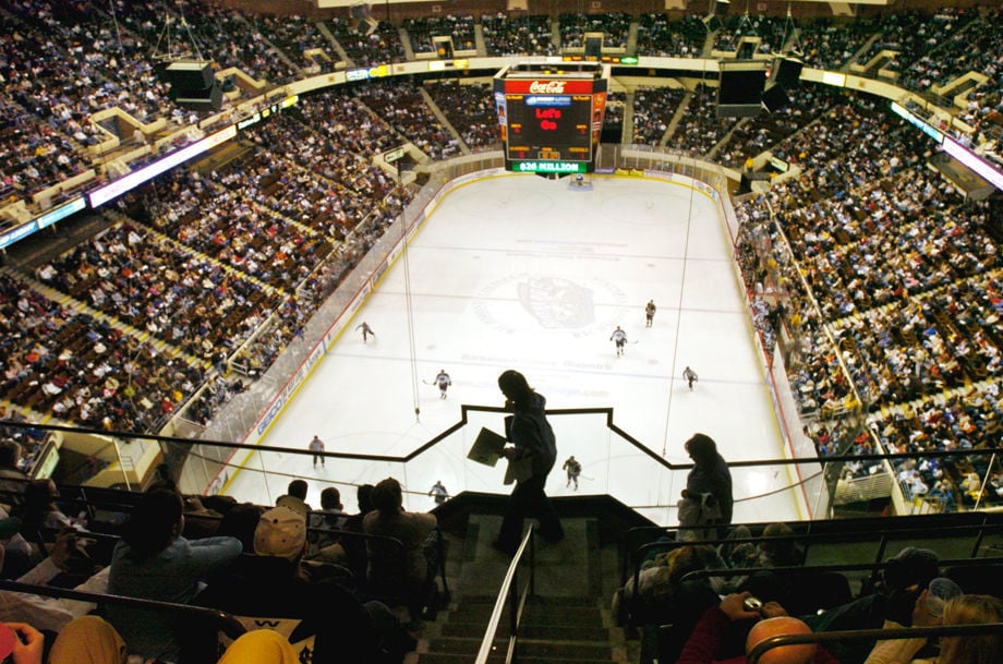 HOCKEY FANS2